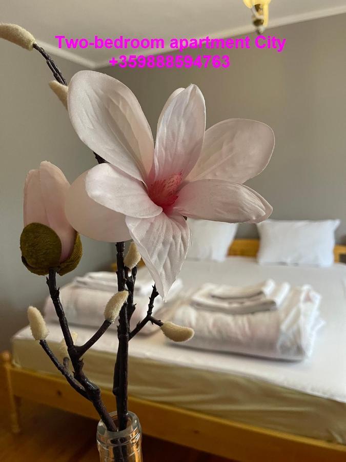 2 Bedroom Apartment City Blagoevgrad Ngoại thất bức ảnh